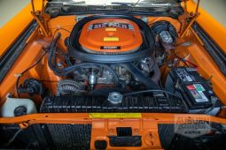 
										1970 Dodge Challenger T/A full									