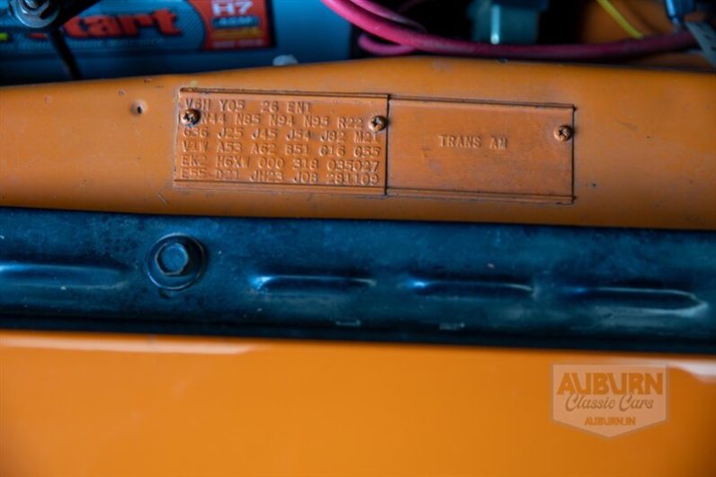 
								1970 Dodge Challenger T/A full									