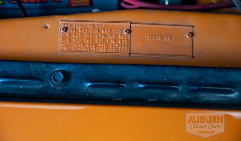 
								1970 Dodge Challenger T/A full									