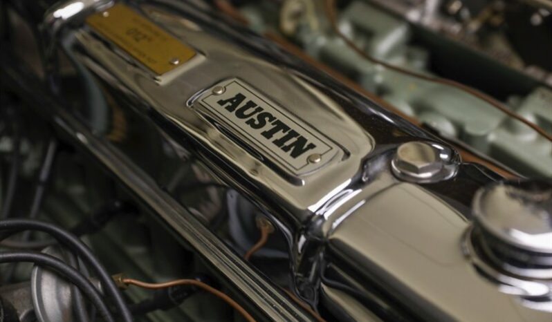 
								1958 Austin Healey 100-Six full									