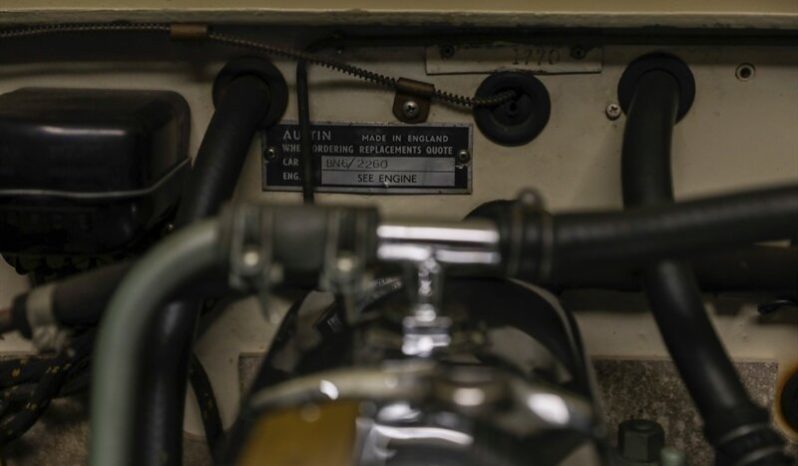 
								1958 Austin Healey 100-Six full									